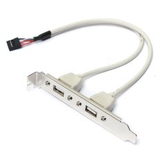 2 Port USB 2.0 Header Host Adapter Rear Panel Cable Holder Bracket Motherboard- Intl