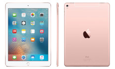Apple iPad Air 2 - 16 GB - Wifi - Gold