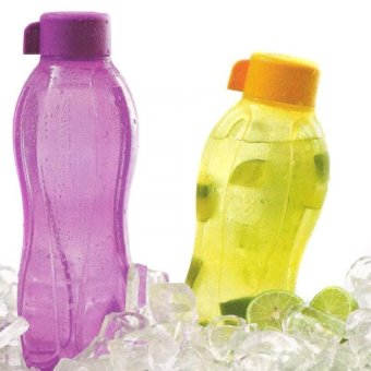 Eco Bottle 1 Pcs tupperware eco bottle 1 liter 2 pcs lazada indonesia Eco Bottle 1 Pcs tupperware eco bottle 1 liter 2 pcs lazada indonesia