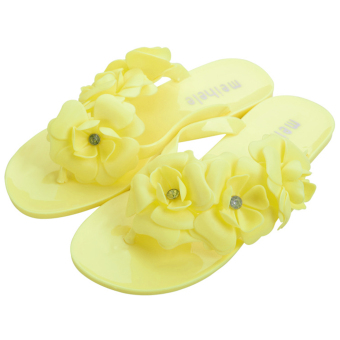 Camellia Flip-Flops Female Summer Models Jelly Sandals Beach Slippers Perspective  