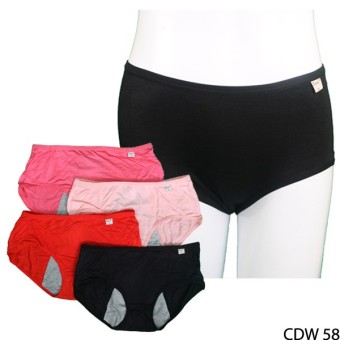 Gudang Fashion - Lingerie Celana Dalam Wanita - Isi 4 Pcs - Multi color  