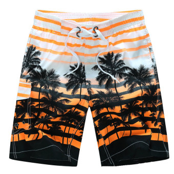 Men's Summer Coco Beach Pants Fashion Printed Quick-drying Elastic Shorts - Intl - Intl  