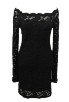 ZigZagZong Boat Neck Long Sleeve Lace Floral Women's Fitted Sheath Mini Dress Black (Intl)  