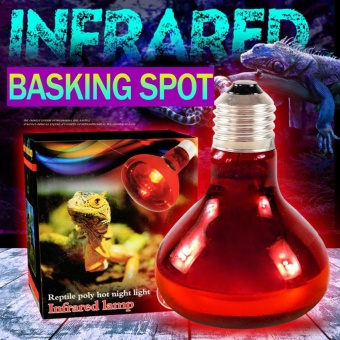 40/60/100 W Inframerah Basking Spot Lamp Single Max Panas Reptil Red Bulb