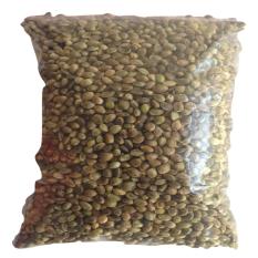 Harga biji fumayin Harga biji fumayin