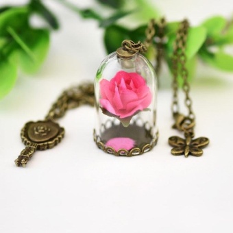 Couple's Glass Cover Pendant Dried Flower Long Chain Rose Key Necklace Gift - intl  