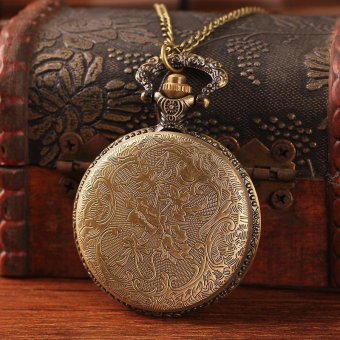 qoovan Best new year gift for ladies antique steampunk pocket watch bronze big glass butterfly with chain roman number retail dropship (as pic) - intl  