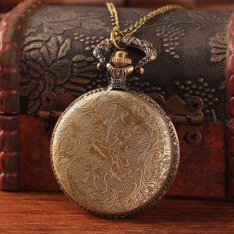 weishi Best new year gift for ladies antique steampunk pocket watch bronze big glass butterfly with chain roman number retail dropship (as pic) - intl  