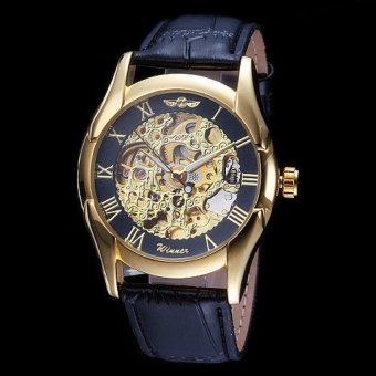 Winner Classic Gold Skeleton Design Auto Mechanical Watch Leather Strap  