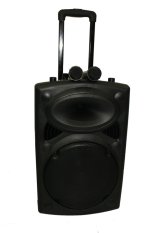 ALDO Portable Wireless Karaoke Player Set F8800