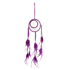 BolehDeals Purple Ribbon Circle Feather Dream Catcher Home Wall Hanging Decor (Intl)