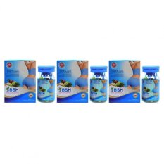 BSH Capsul - Body Slim Herbal Original 100% Kemasan Baru 3-Botol 90-kapsul