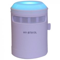 Mini Portable Wireless Bluetooth Speaker Amplifier Lights BT813L White - Intl