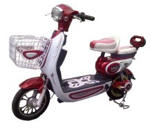 Tiger - Jual Tiger Online Terlengkap & Harga Murah