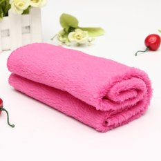 Warm Pet Dog Puppy Cat Mat Soft Fleece Blanket Quilt Bed Cushion Pad Cozy Cover - INTL