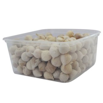 wbtshop bawang putih tunggal 1 kg lazada indonesia wbtshop bawang putih tunggal 1 kg lazada indonesia