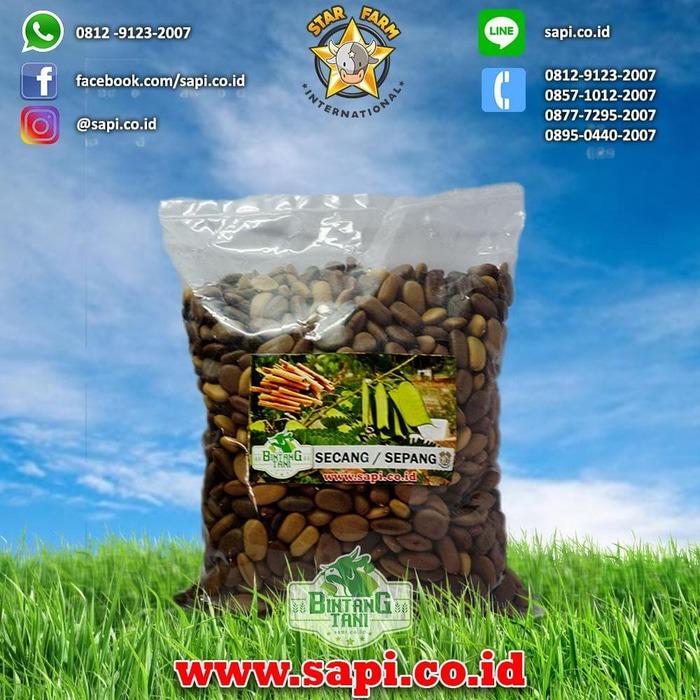Benih Secang 1Kg