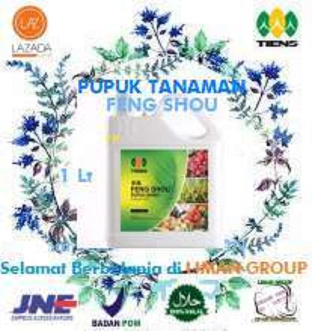 Pupuk feng shou tiens, pupuk hayati menambah hasil panen para petani by LIMAN GROUP