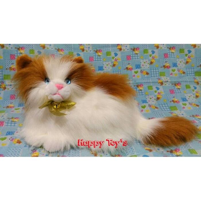 (Premium) Boneka Kucing Anggora Lucu