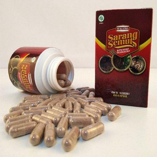 Obat Stroke Angkung Herbal Alami