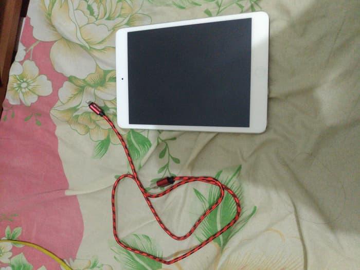 ipad mini 2 16GB Retina Display 4G LTE Mint condition