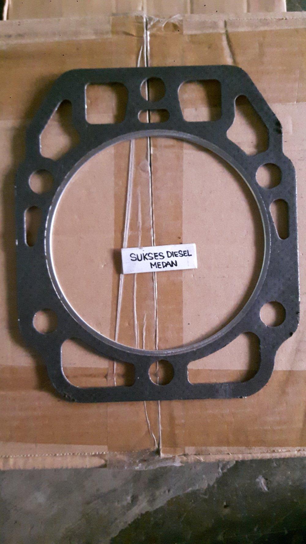 S1130 Gasket Head Paking Deksel Mesin Dongfeng Tianli Fengtian