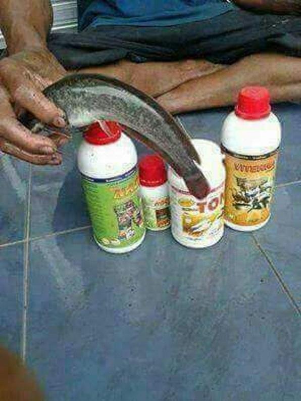 VITAMIN IKAN BANDENG UDANG IKAN MAS IKAN GURAMI IKAN LELE IKAN MUNJAIR IKAN MELEM BELUT (PENUMBUH PLANGKTON) TAMBAK ORGANIK NUSANTARA TON NASA