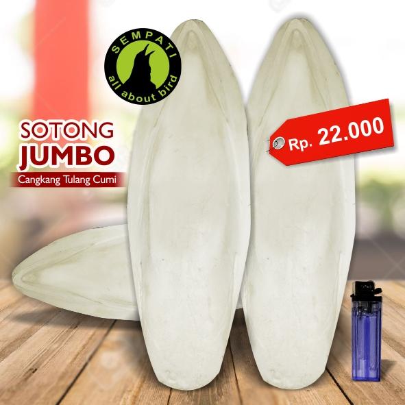 Sotong Ukuran Jumbo Cangkang Tulang Cumi Kalsium Iodium Garam Mineral Dll Untuk Burung Kenari Lovebird Parkit Perkutut Dll