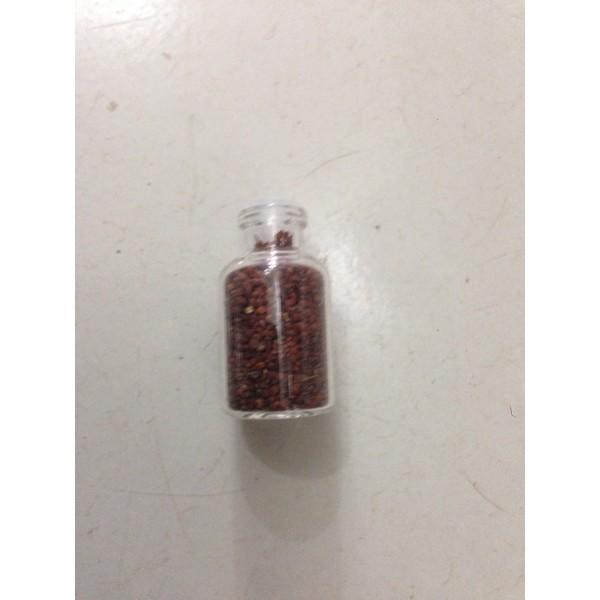 Aquarium Aquascape Carpet Mini Seed Dwarf Bibit NEW