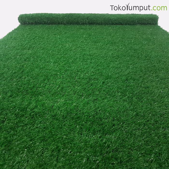 rumput sintetis swiss 2cm Harga Promo - IIq3Po