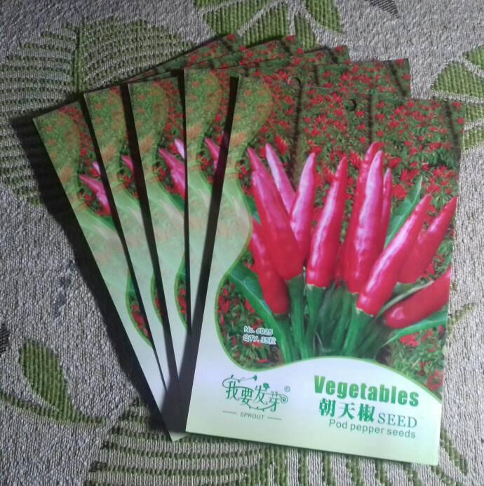 EKSLUSIVE Benih Cabe Hias Cayenne Pepper TERLARIS