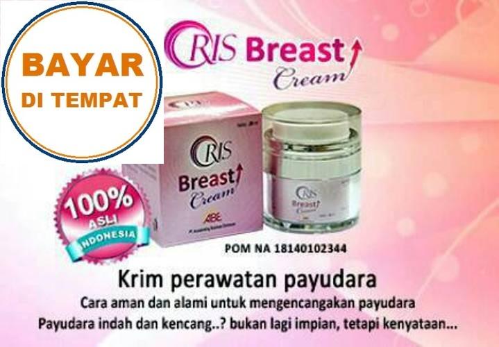 Oris Breast Cream Original Pengencang Payudara & Cegah Kanker Payudara Surabaya