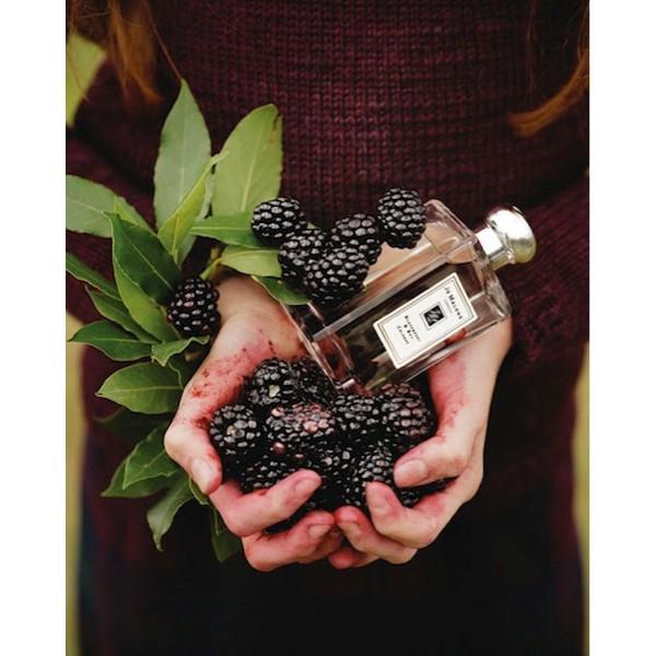 Original Parfum Jo Malone Blackberry & Bay 100Ml Cologne