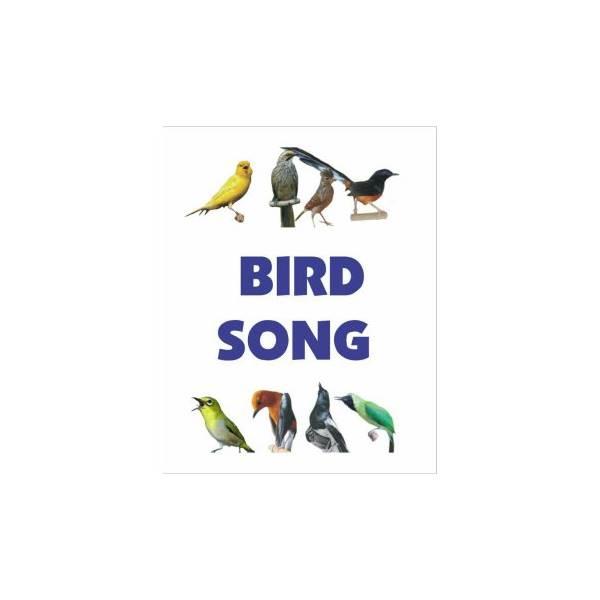 Hot Promo Bird Song (Speaker MP3 Masteran Isian Burung Kicau)