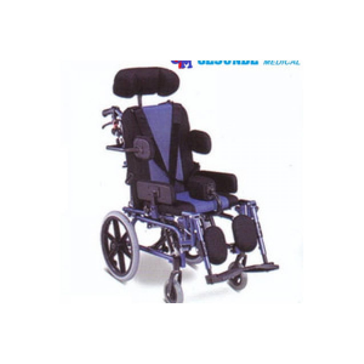 Kursi Roda Cerebral Palsy CP (Kode : FS958LBHP)