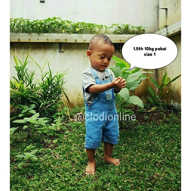 PROMO SALE 1 2 3 4 TAHUN BAJU ANAK OVERALL CELANA JEANS PENDEK LIGHT BLUE FZ001XO