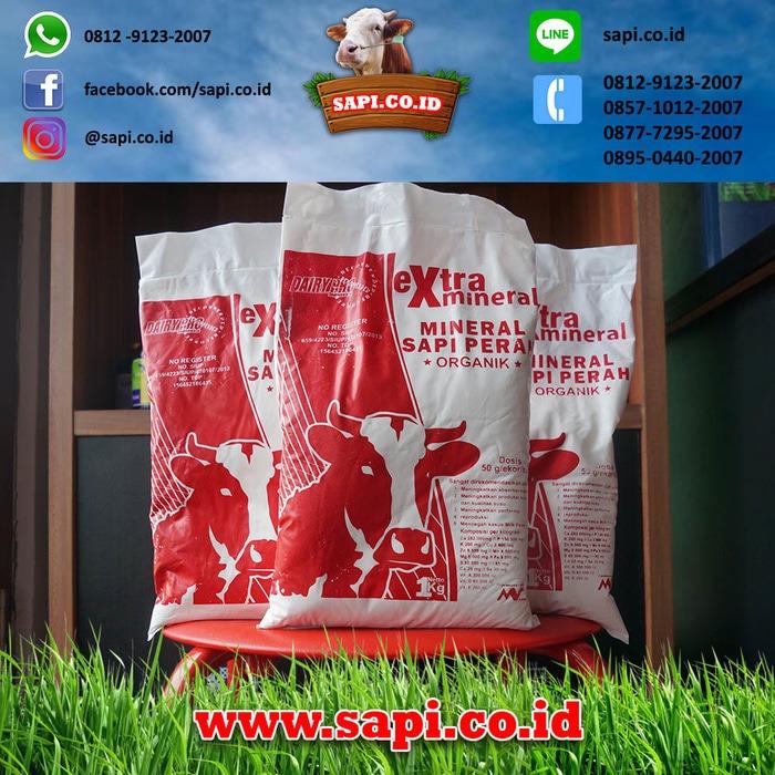 Star Farm BTM - Extra Mineral Premix Sapi Perah