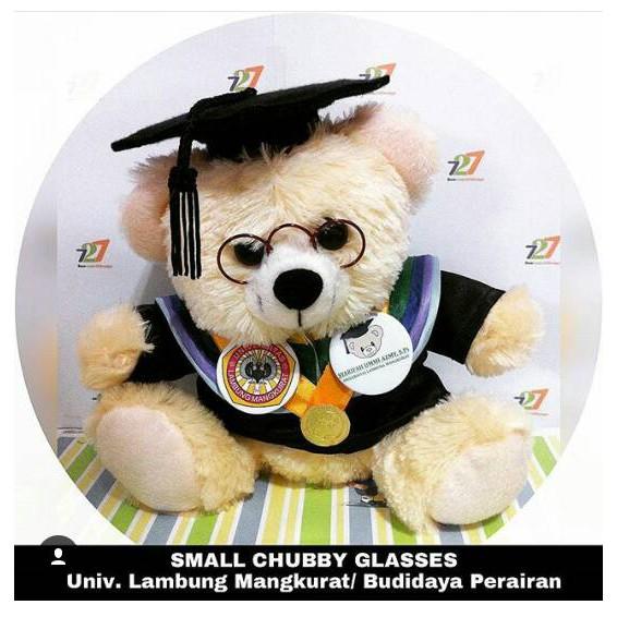 Boneka Wisuda Toga Asli Seperti Almamater R4384