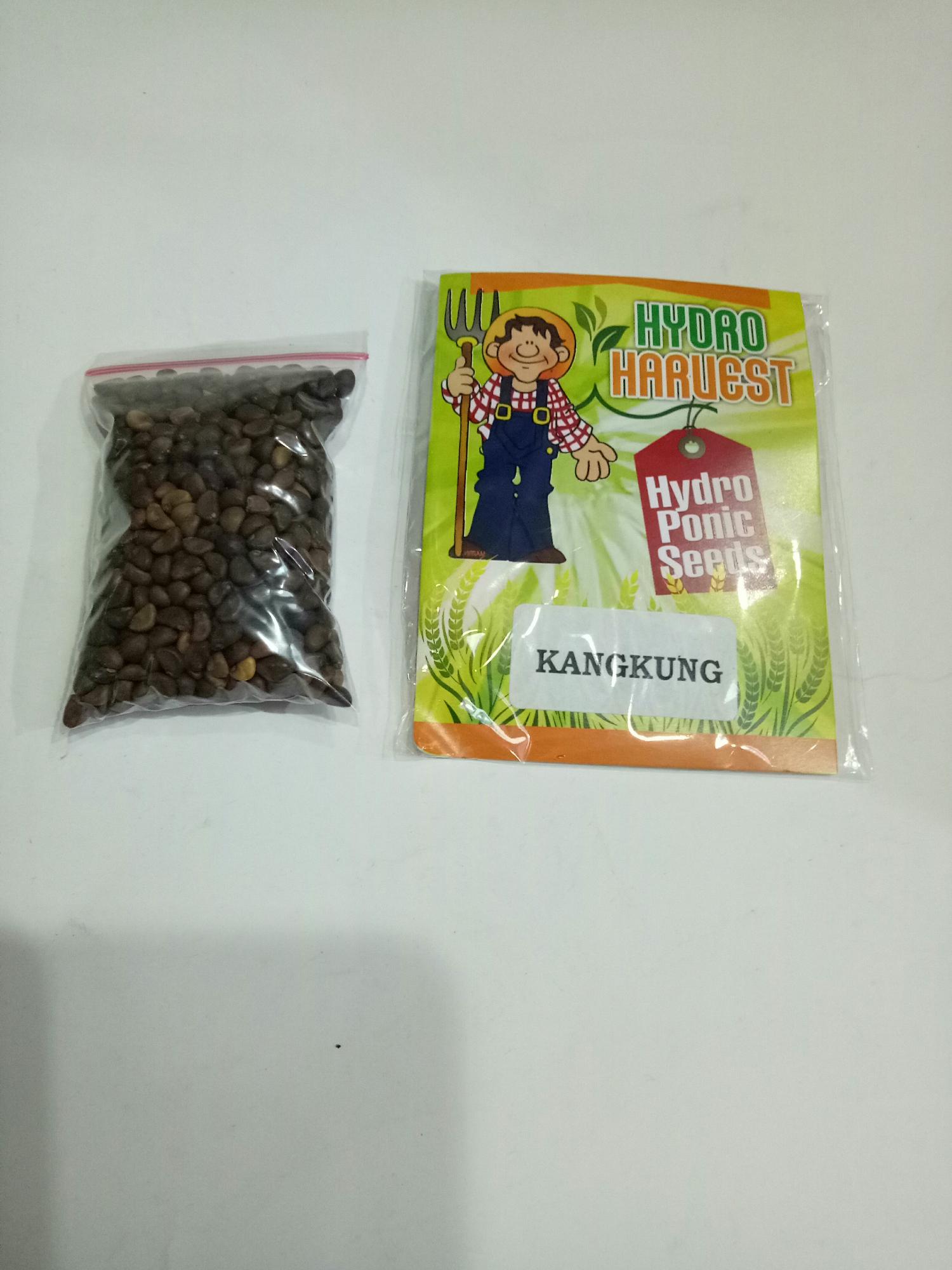 Benih Kangkung