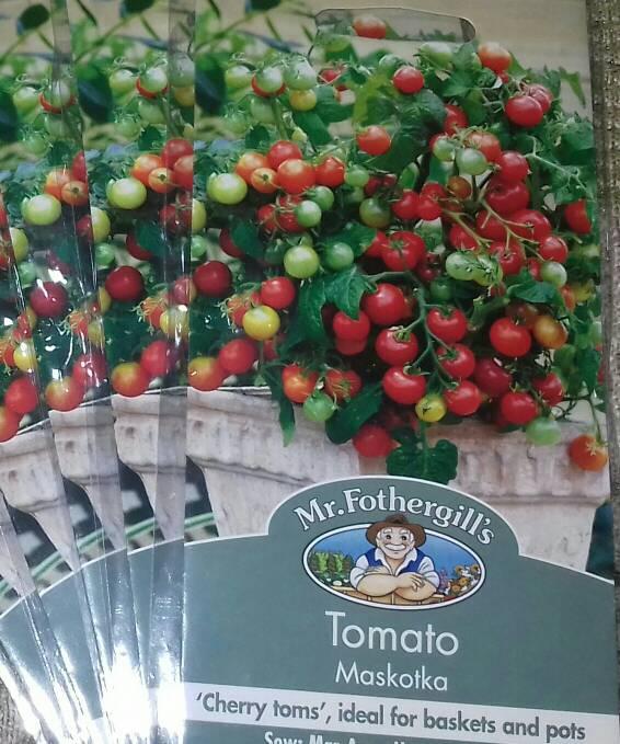 PROMO Repacking- Benih Tomat Cherry Tomato Maskotka Mr Fothergills T