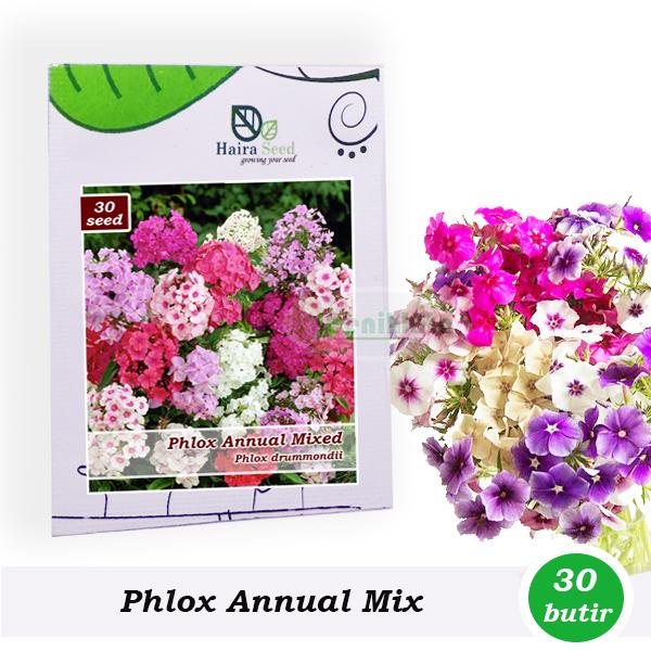 Benih-Bibit Bunga Phlox Annual Mix (Haira Seed)