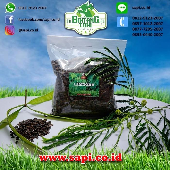 Benih Lamtoro 1 Kg