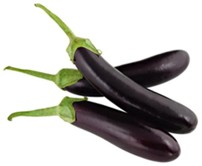 Bibit Tanaman 7STAR - Bibit Biji Benih Sayur Terong Unggu Unggul 10pcs