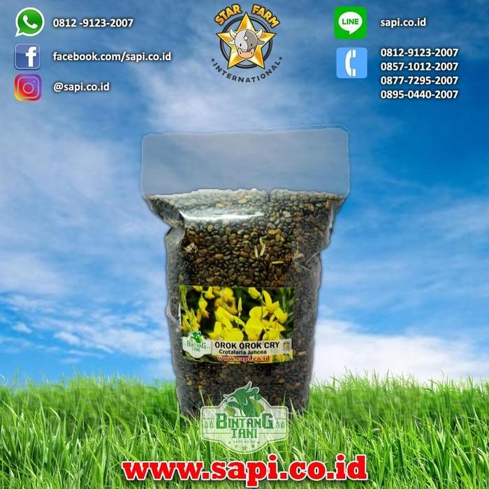 BENIH OROK OROK 1Kg