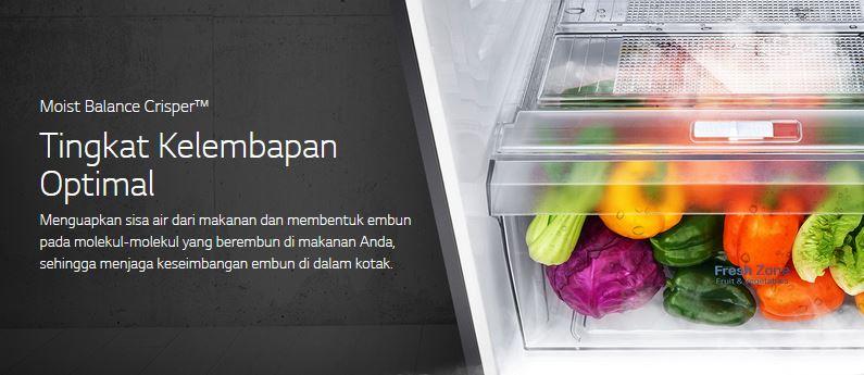 Moist balance crisper.JPG