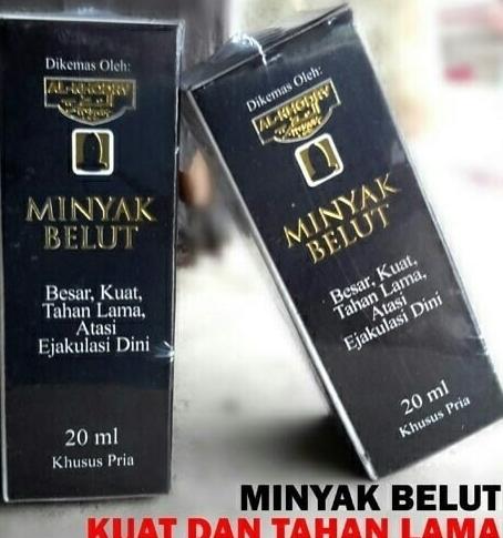 Minyak belut putih Al khodry untuk pria sejati