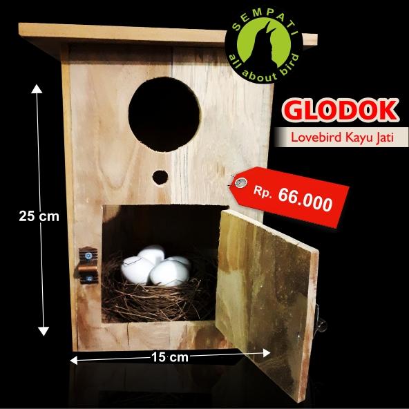 Glodok Glodokan Kaca Kayu Jati Sarang Tempat Ternak Burung Lovebird
