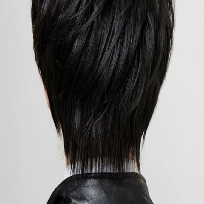 BEST QUALITY WIG COWOK / WIG PRIA / RAMBUT PALSU LAKI LAKI - HOUSESHOPS
