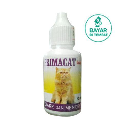 Obat Diare dan Mencret Untuk Kucing