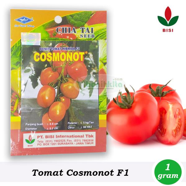Benih-Bibit Tomat Cosmonot F1 (BISI)